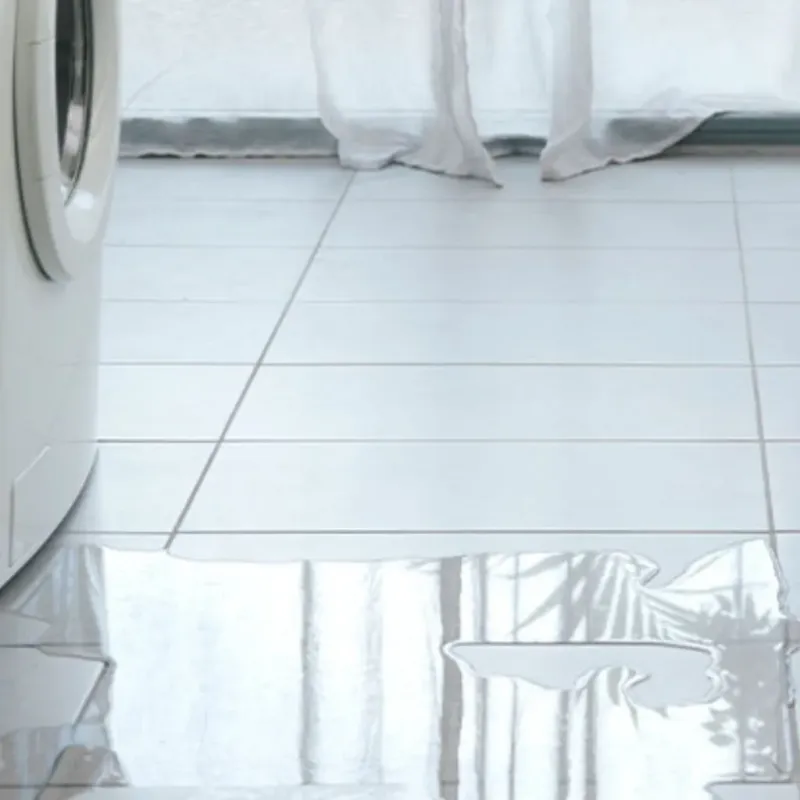 Appliance Leak Cleanup in Superior, WI
