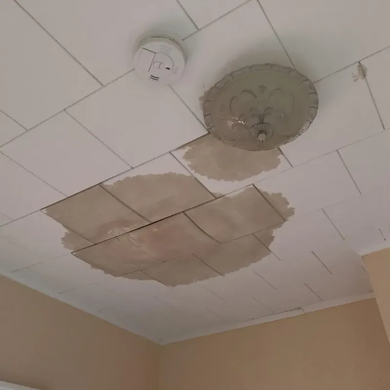 Ceiling Water Damage Repair in Superior, WI