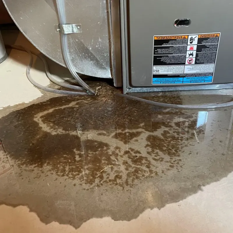 Pipe Burst and Leak Restoration in Superior, WI